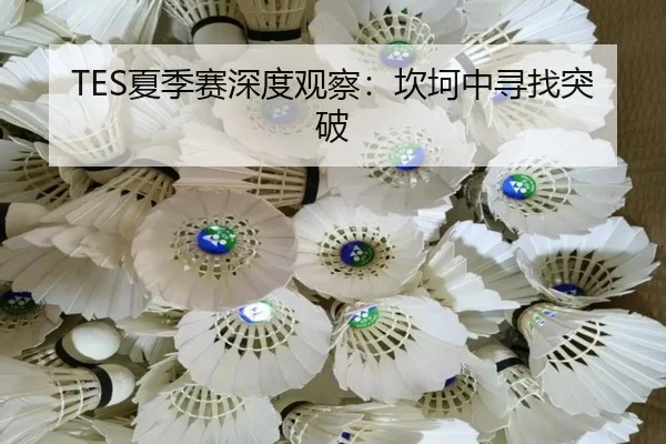 TES夏季赛深度观察：坎坷中寻找突破 - aitiyu